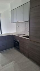 The Florence Residences (D19), Apartment #497095201